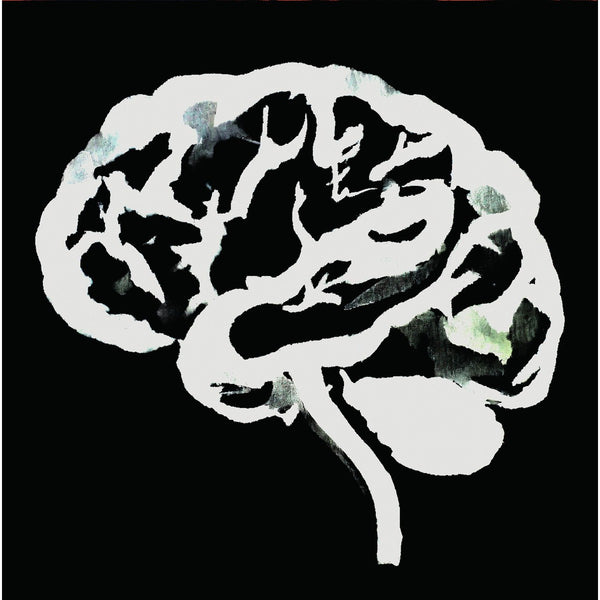 RUINS - Brain Flakes (The Lost Combo tapes) . LP