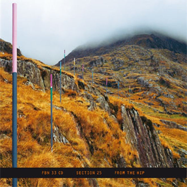 SECTION 25 – From The Hip . 2CD