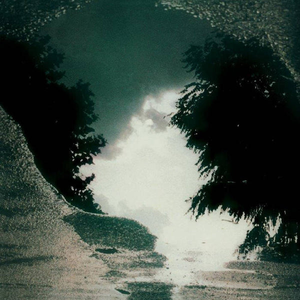 SAD LOVERS & GIANTS - Feeding The Flame . LP