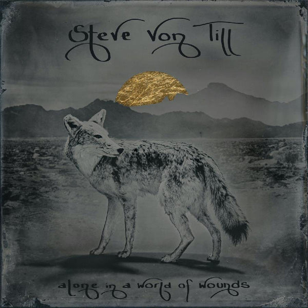 STEVE VON TILL - Alone In A World Of Wounds . CD