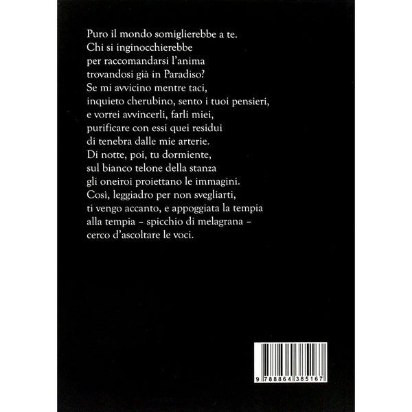 MENOTTI LERRO - Entropia del cuore . Book