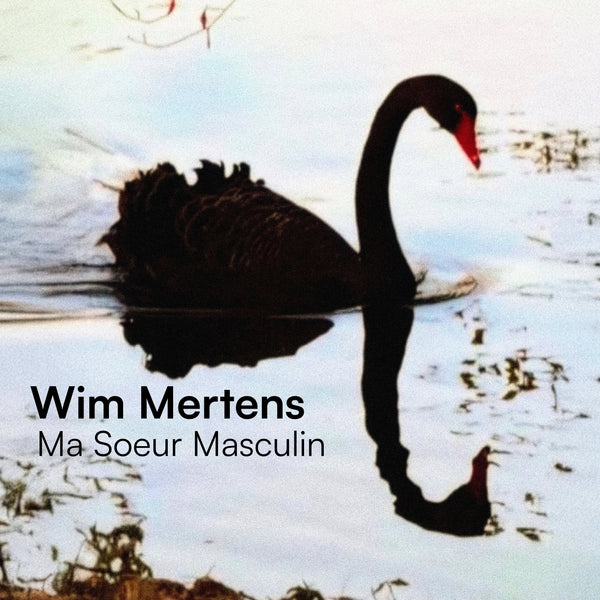 WIM MERTENS - Ma Soeur Masculin . CD