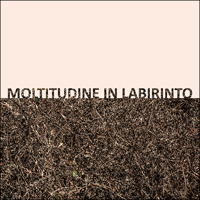 GIGI MASIN  . GIUSEPPE CAPRIOLI - Moltitudine in labirinto . LP