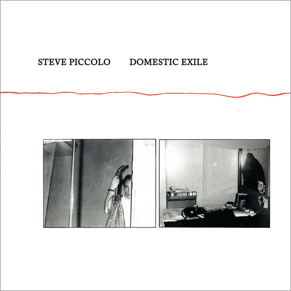 STEVE PICCOLO - Domestic Exile . LP