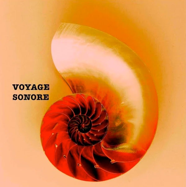SABINA MANETTI & FRANCESCO LANDUCCI - Voyage Sonore . CD