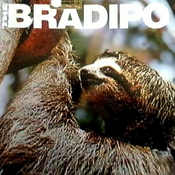 THE BRADIPO - The Bradipo . CD