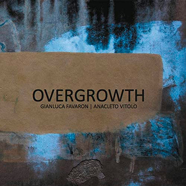 GIANLUCA FAVARON . ANACLETO VITOLO : Overgrowth . CD