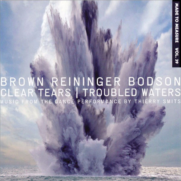 STEVEN BROWN. BLAINE L. REININGER & MAXIME BODSON - Clear Tears/Trouble Waters . CD
