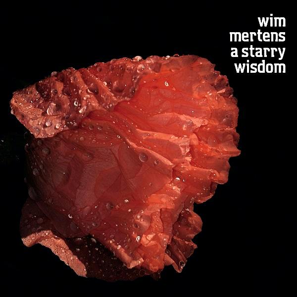 WIM MERTENS - A Starry Wisdom