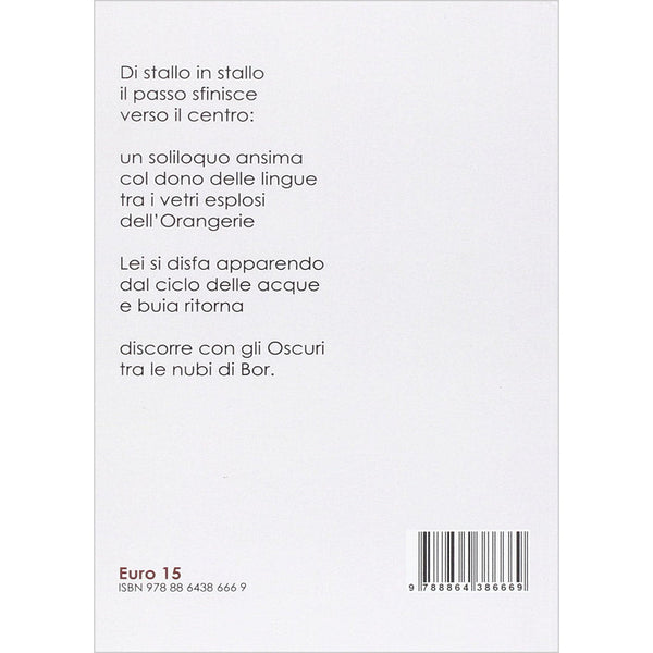 MARIO PEZZELLA - Le nubi di Bor . Book