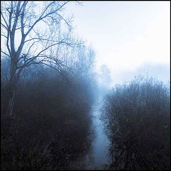 RICHARD B. LEWIS - The Blue Horizon . CD