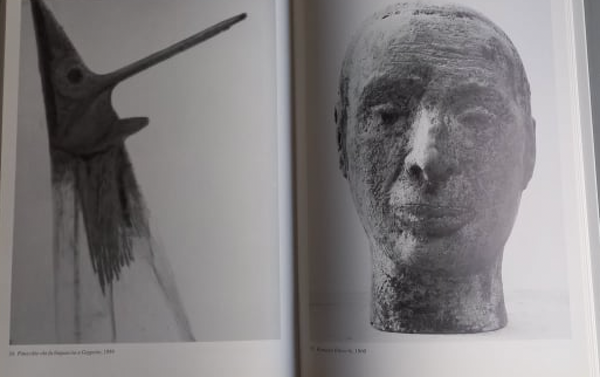 VENTURINO VENTURI . Book